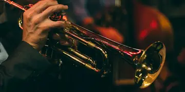 Music & Instruments