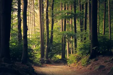 Eco-responsibility in tech: progress or greenwashing?